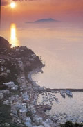 Capri海岛的口岸鸟瞰图