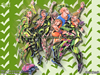 JoJo Rock 'N' Roll
