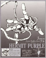 HERMIT PURPLE֮