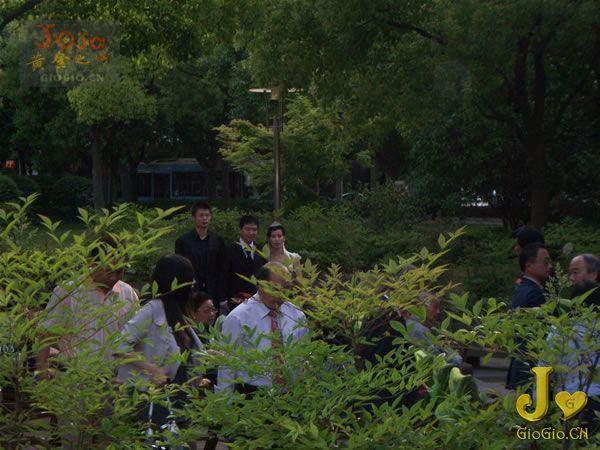 zt_wedding_510_01.jpg