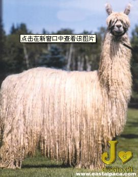 ��֪���ǲ����޸ĵġ������ǵĻ������ǡ���