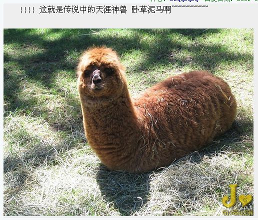 Ϊʲô�����ڴ򲻿��������أ�