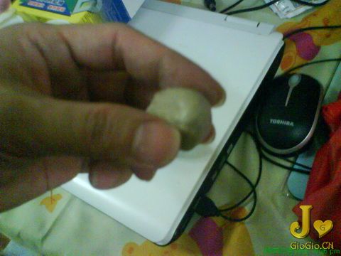 DSC00237 b.jpg