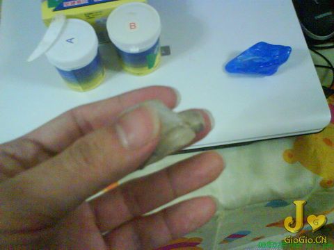 DSC00236 b.jpg