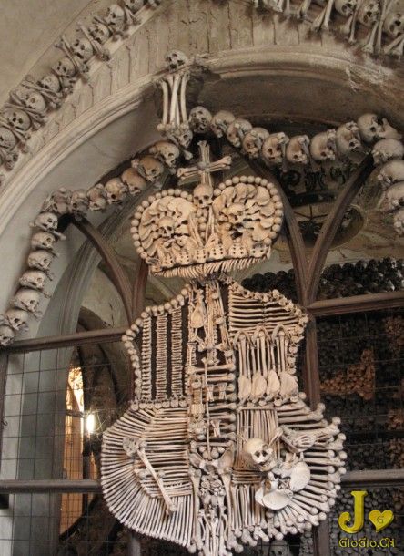 bones.jpg