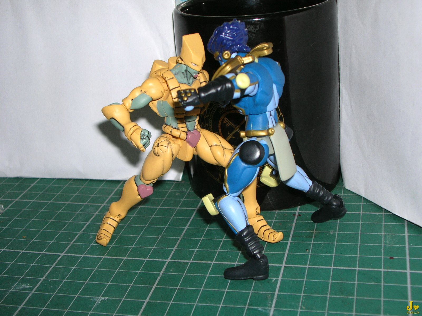 DSCN4593.jpg