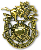SBR Brooch sample.jpg