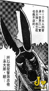 333.jpg