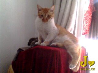 IMG0041A.jpg