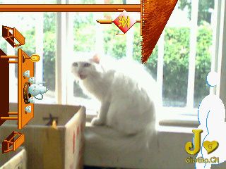 IMG0085A.jpg