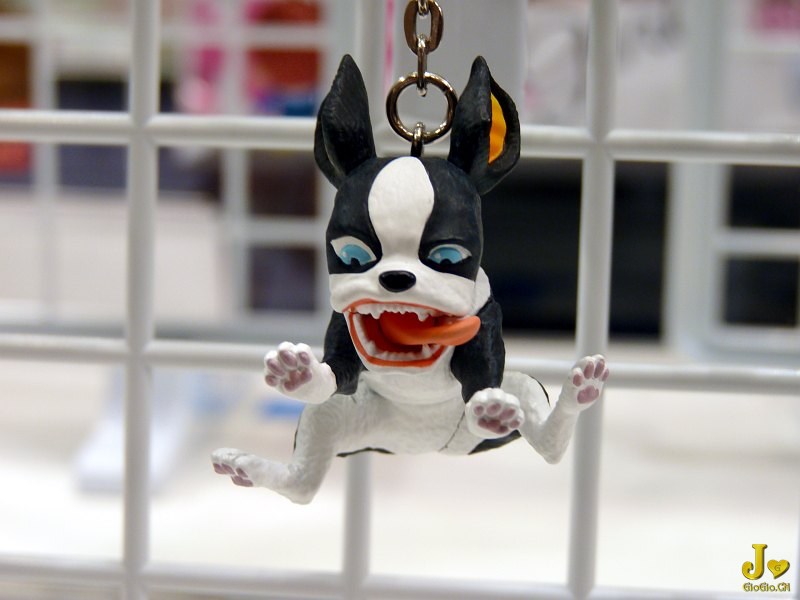 aou2010_jojo60.jpg