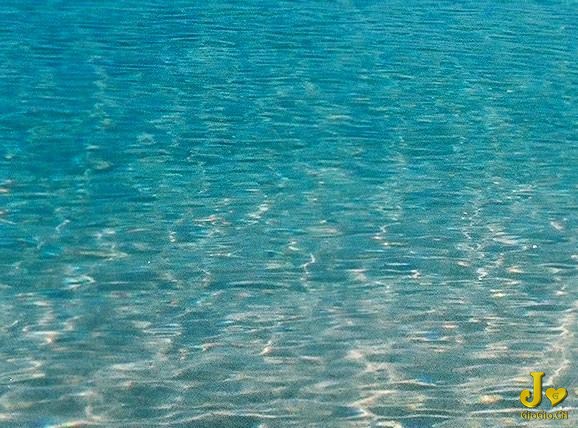 Cuba-Trinidad-Caribbean-Sea-Playa-Ancon-clear-water-fish-1-MY.jpg