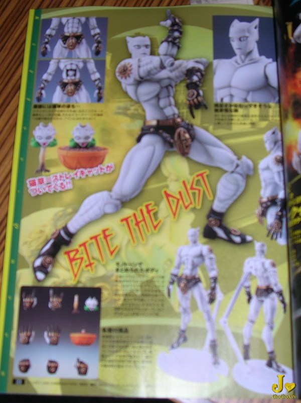 DSCN4909.jpg