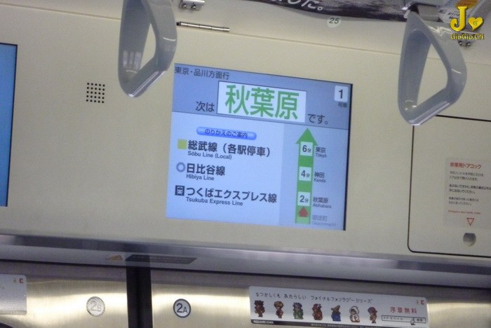 1P1010064.jpg