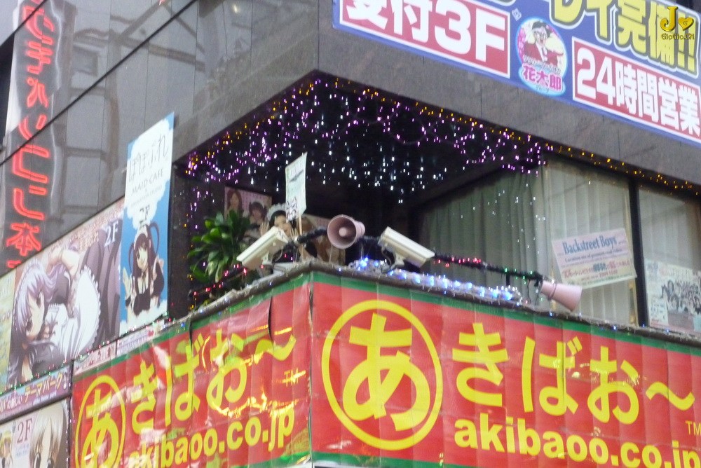 1P1010082.jpg