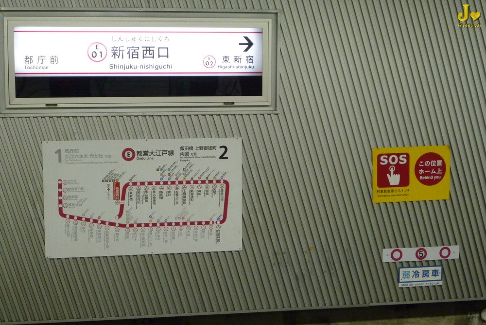 1P1010153.jpg