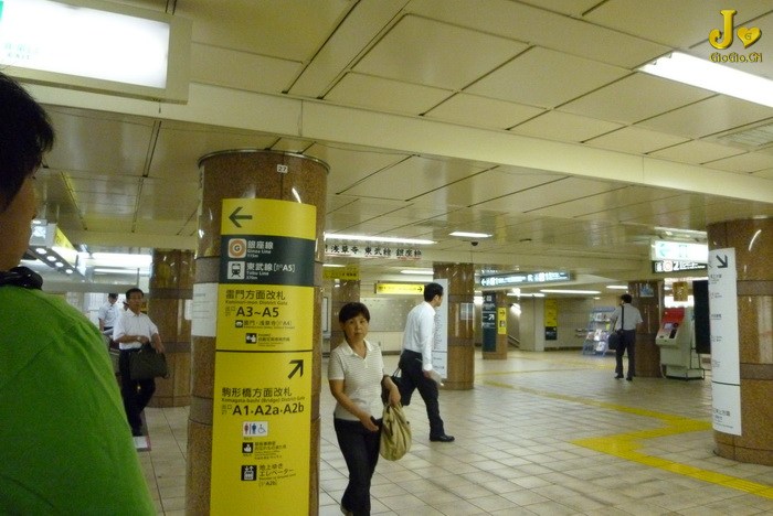 1P1010188.jpg