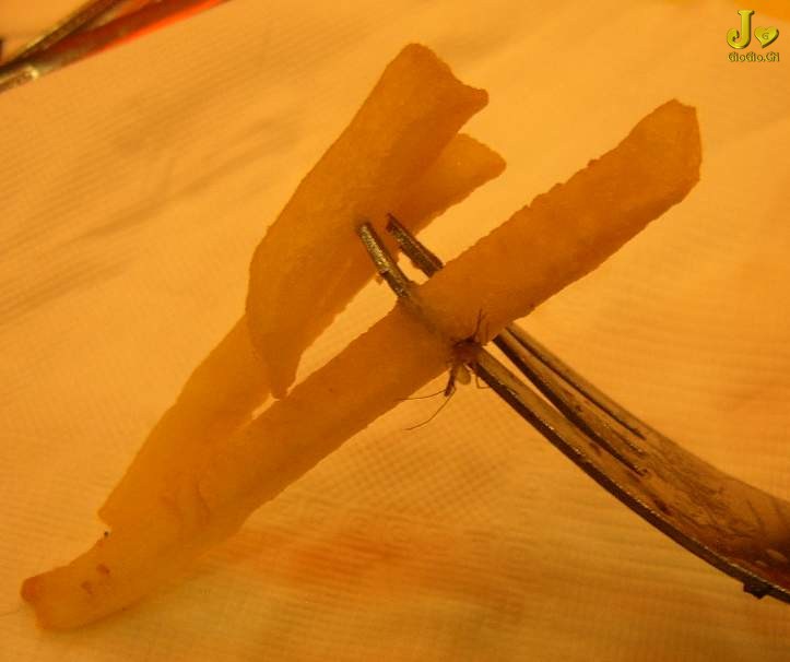 SUC5  4949.JPG
