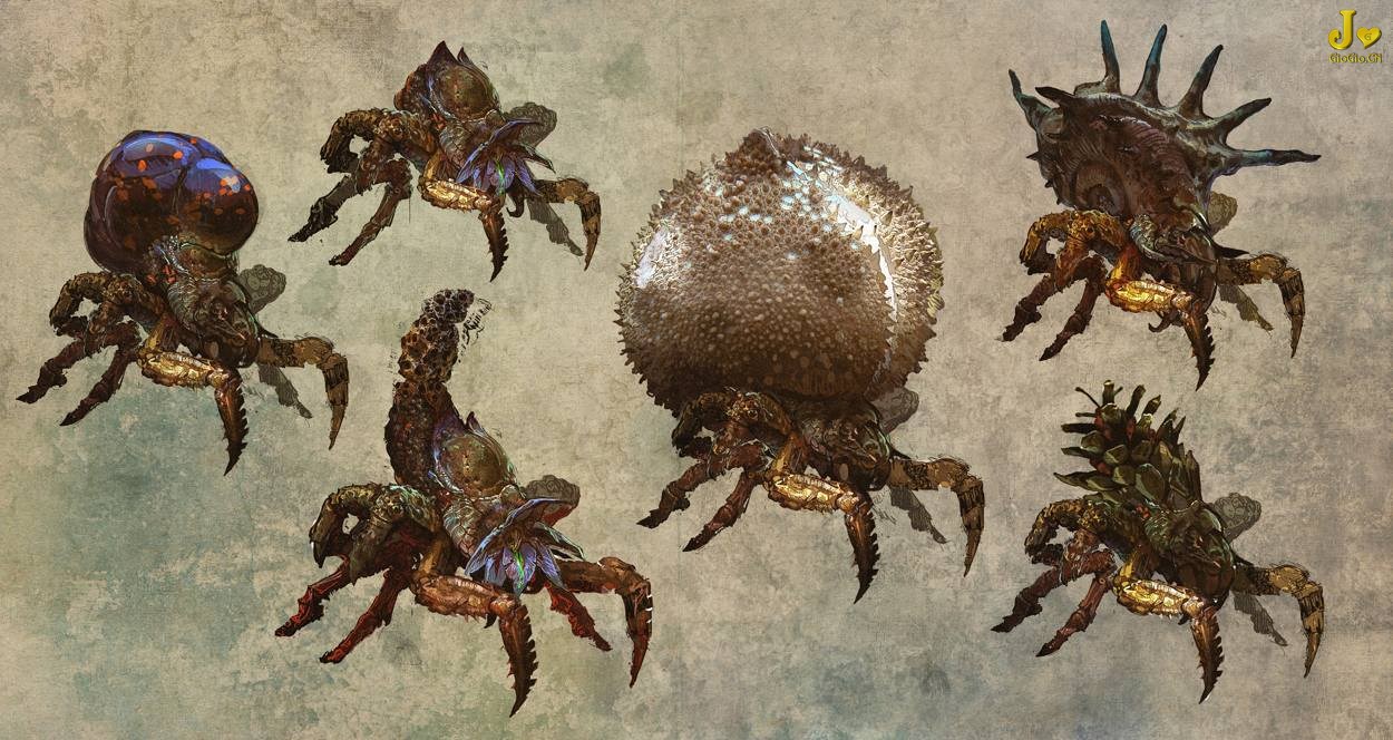 Arachas.jpg