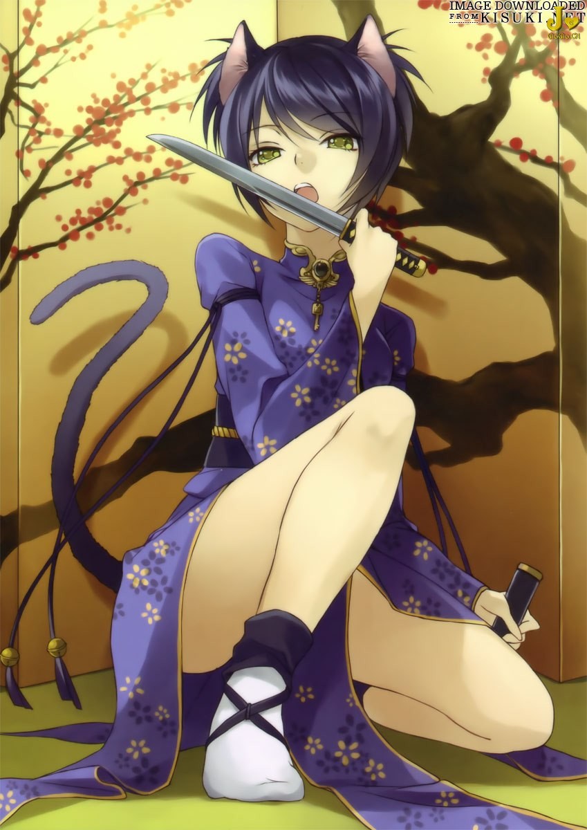 kisuki.net_artbooks_japanese-sword-girls-moeru-nihontou-daizen_34.jpg