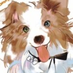 Силиная的头像